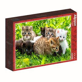 Puzzle 1000 pièces groupe de chatons