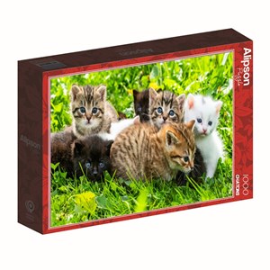 Puzzle 1000 pièces groupe de chatons