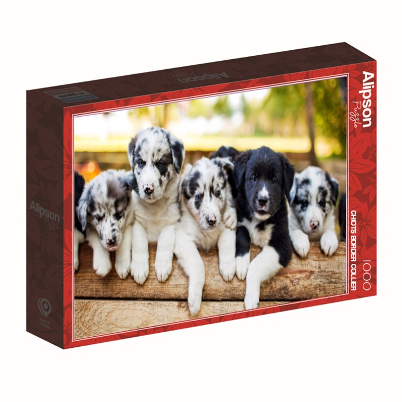 Alizé - Puzzle 1000 pièces chiot border collier