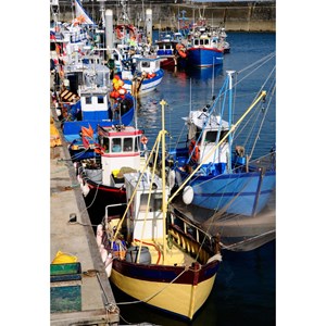 Puzzle 1000 pièces port de quiberon