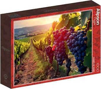Puzzle 1000 pièces champs de vignes