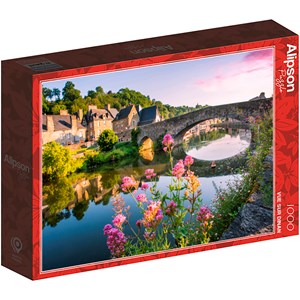 Puzzle 1000 pièces vue sur dinan