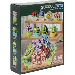 Coffret plantes succulentes 770 briques de construction