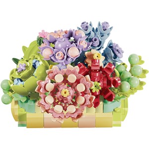 Coffret plantes succulentes 770 briques de construction
