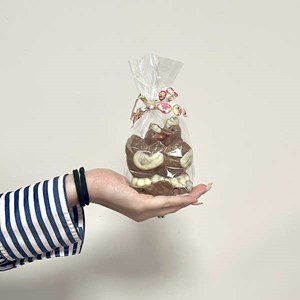 Poules câlines et fritures de pâques en chocolat au lait