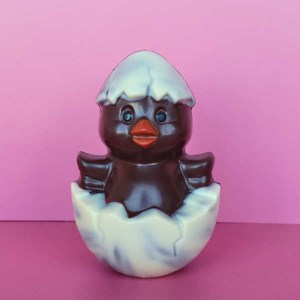 Poussin coquille en chocolat noir