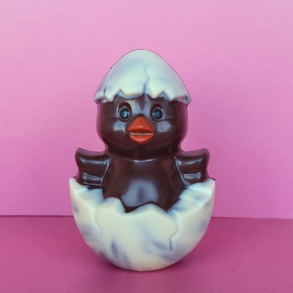 Poussin coquille en chocolat noir