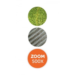 Microscope loupe vidéo