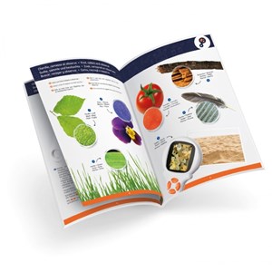 Microscope loupe vidéo