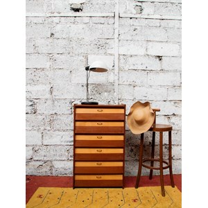 Meuble bi-ton à chaussures n°533