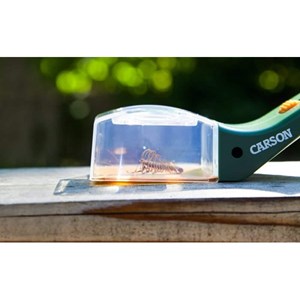 Carson bugvie  jouet éducatif stem pour enfants et adultes