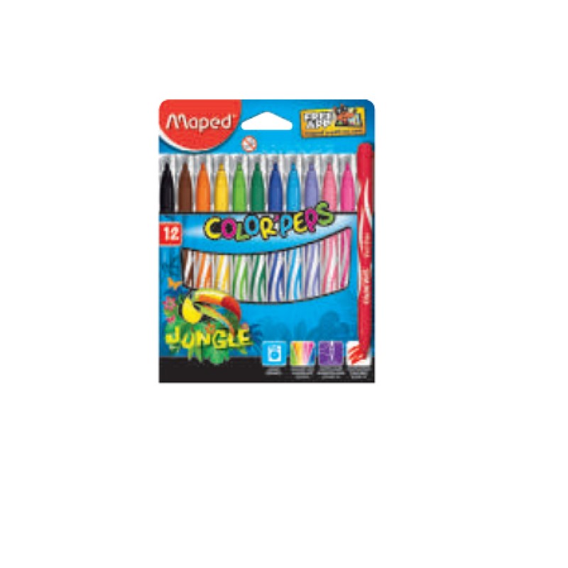 Boite de 12 feutres multicolore