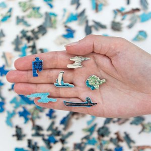 Le mont fuji d'hiroaki