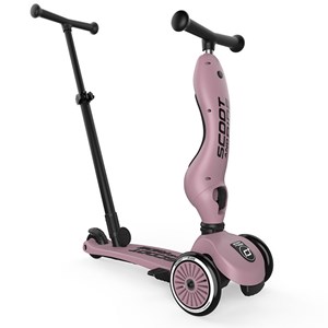 Porteur évolutif highwaykick 1 push and go wildberry