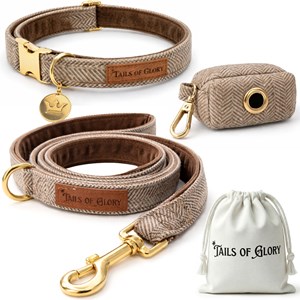 Set pour chien en tweed marron: collier réglable, laisse, porte-sacs taille s
