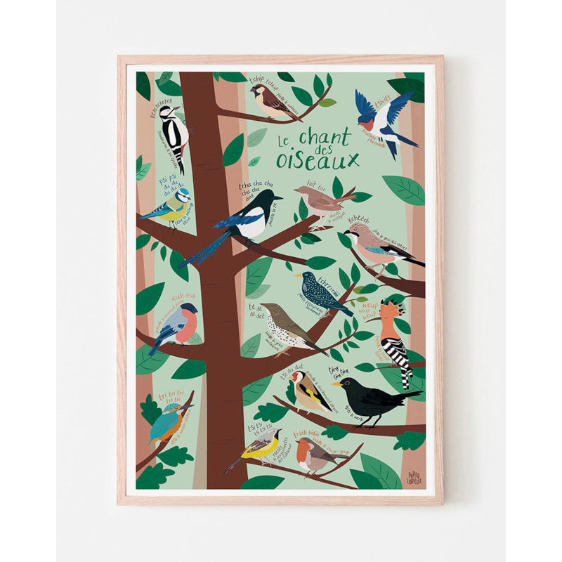 Affiche le chant des oiseaux (Papier Curieux) - Couverture