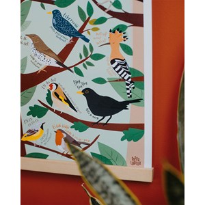 Affiche le chant des oiseaux