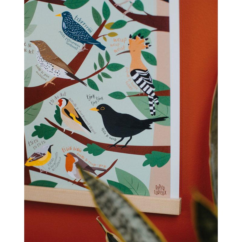 Affiche le chant des oiseaux (Papier Curieux) - Image 2