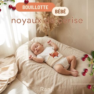 Bouillotte bébé noyaux de cerise renard