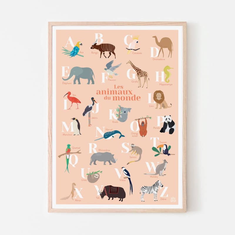 Abécédaire des animaux du monde corail (Papier Curieux) - Image 2