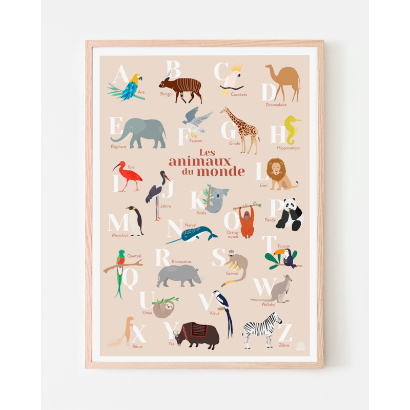 Abécédaire des animaux du monde corail (Papier Curieux) - Image 3