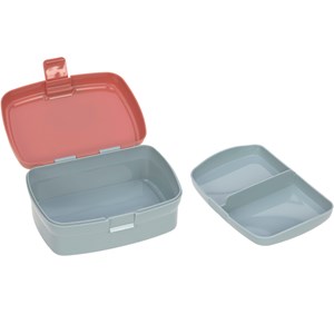 Set lunch box about friends renard