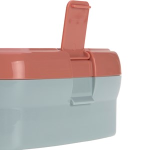Set lunch box about friends renard