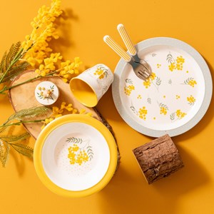 Boîte à dent mimosa (coloris aléatoire)