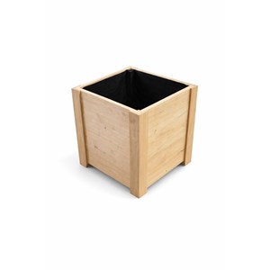 Jardinière castanea - châtaignier