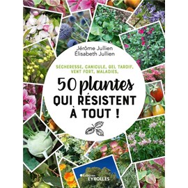 50 plantes qui résistent à tout !