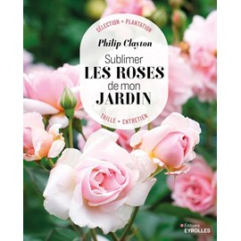 Sublimer les roses de mon jardin