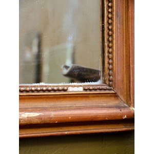 Georges, le miroir en plâtre n°1098