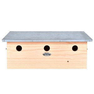 Appartement des moineaux