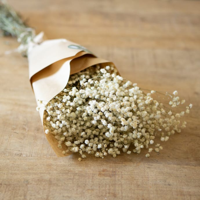 Fleurs De Gypsophile Séchées Naturelles - Longueur 37-38 Cm, Blanc, Pour Décoration Mariage, Maison, DIY