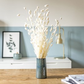 Botte de fleurs séchées phalaris blanc