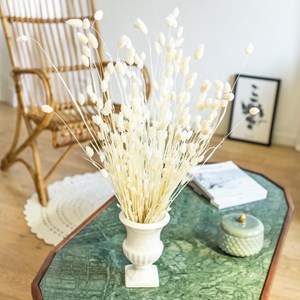Botte de fleurs séchées phalaris blanc
