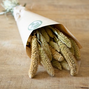 Botte de fleurs séchées sétaire naturel