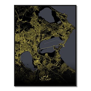 Tunis carte ville city map nuit