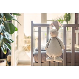 Moonie le lapin magique avec sons lumièr