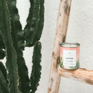 Cactus - bougie artisanale parfumée