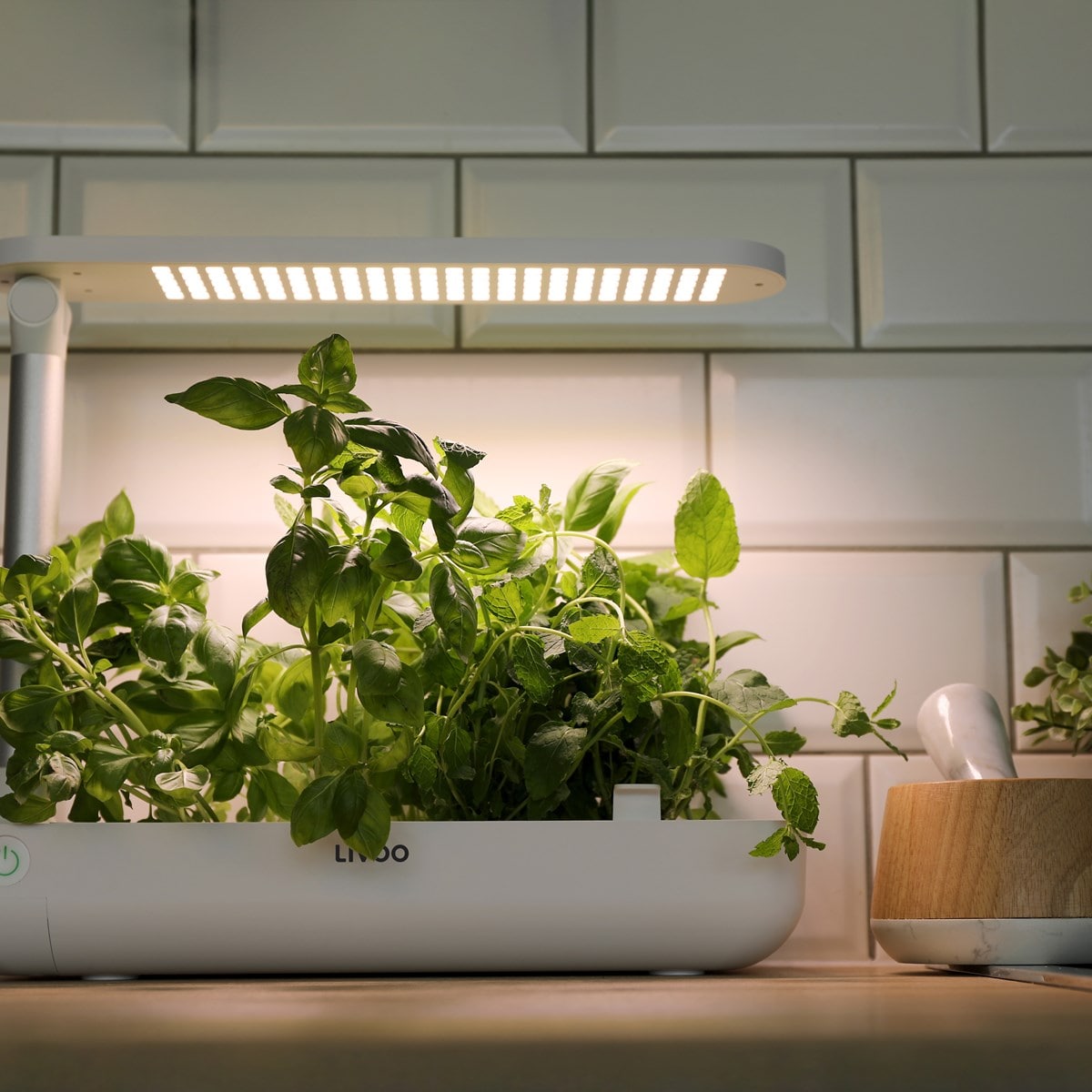 Kit de Culture pour plantes d'intérieur - Jardinage Intérieur