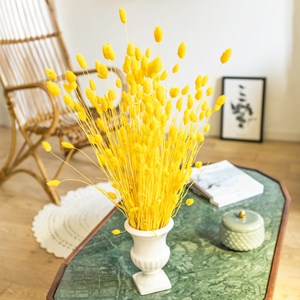Botte de fleurs séchées phalaris jaune
