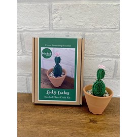 Kit de bricolage perlé - plante cac