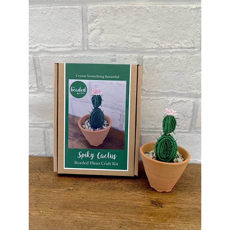 Kit de bricolage perlé - plante cac