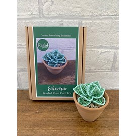 Kit de bricolage perlé - succulente