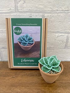 Kit de bricolage perlé - succulente
