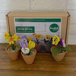 Kit de bricolage floraisons