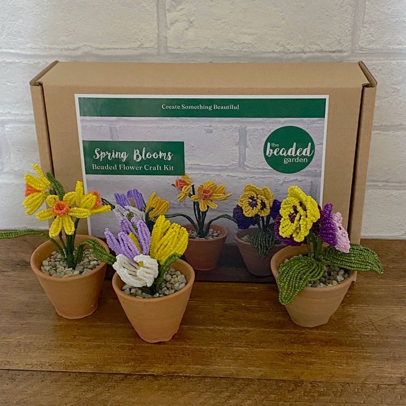 Kit de bricolage floraisons