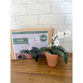 Kit de bricolage pour plantes