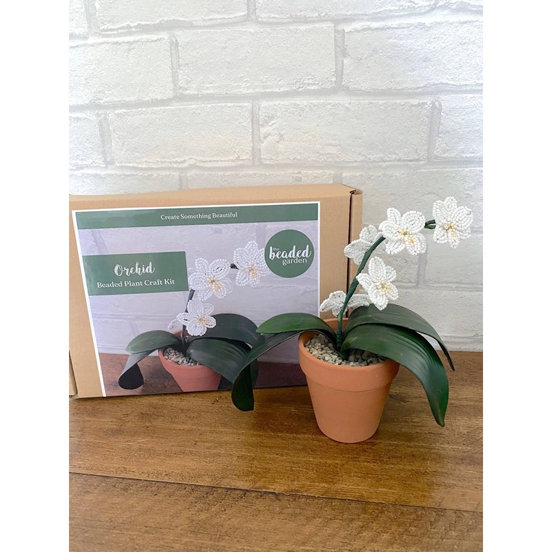 Kit de bricolage pour plantes